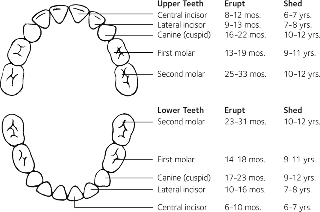 Spokane Dental